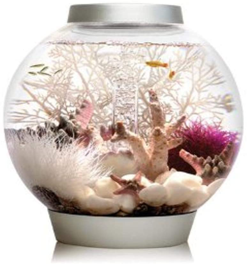 Biorb Classic Aquarium Animals & Pet Supplies > Pet Supplies > Fish Supplies > Aquarium Decor biOrb   