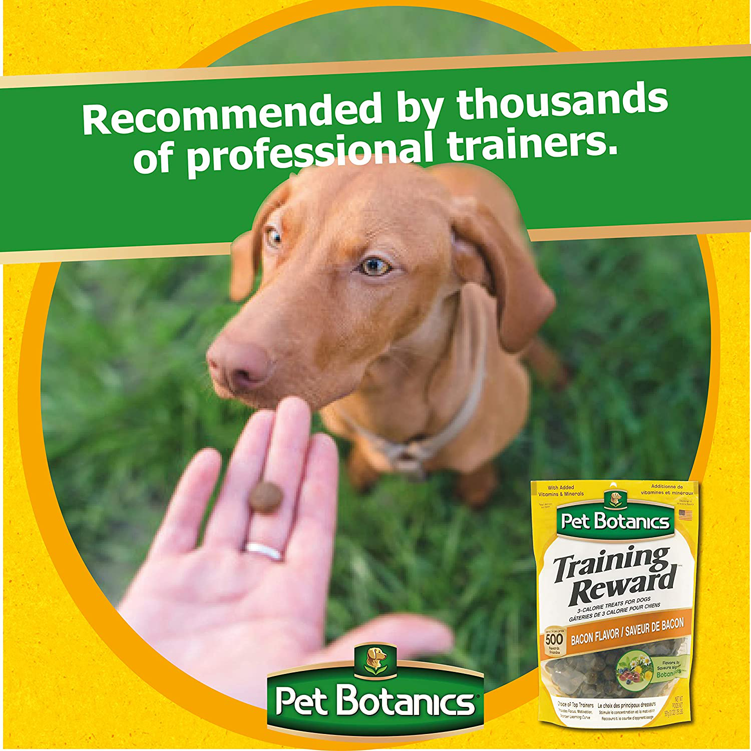 Pet Botanics Training Reward Animals & Pet Supplies > Pet Supplies > Dog Supplies > Dog Treats Pet Botanics   