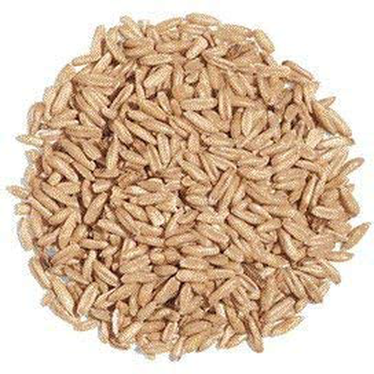 Exotic Nutrition Whole Oats 4 Lb. - Healthy Supplemental Food - Natural Whole Oats for Prairie Dogs, Degus & Chinchillas Animals & Pet Supplies > Pet Supplies > Small Animal Supplies > Small Animal Food Exotic Nutrition   