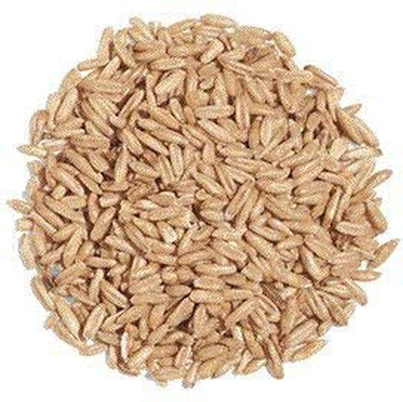 Exotic Nutrition Whole Oats 4 Lb. - Healthy Supplemental Food - Natural Whole Oats for Prairie Dogs, Degus & Chinchillas