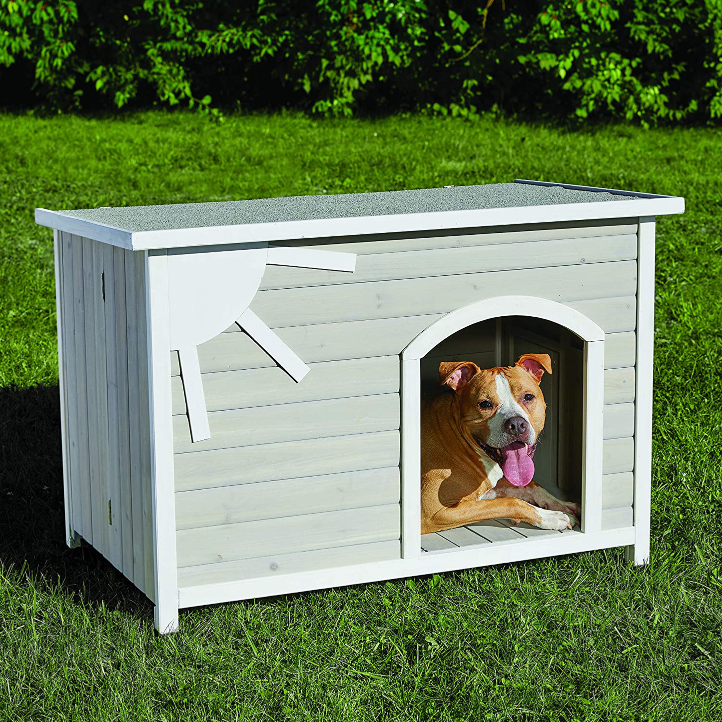 Midwest Homes for Pets Eillo Folding Outdoor Wood Dog House, No Tools Required for Assembly | Dog House Ideal for Medium Dog Breeds, Beige (12EWDH-M) Animals & Pet Supplies > Pet Supplies > Dog Supplies > Dog Houses MidWest Homes for Pets   
