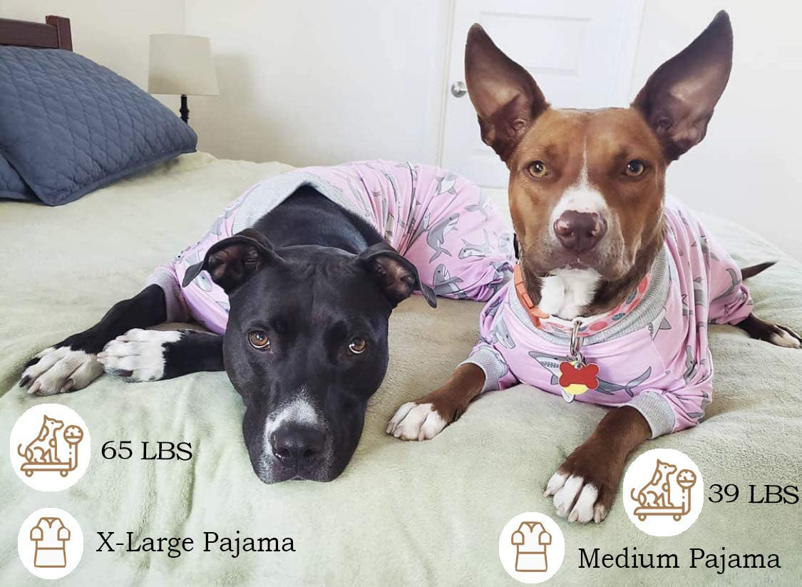 Tooth and honey dog hot sale pajamas