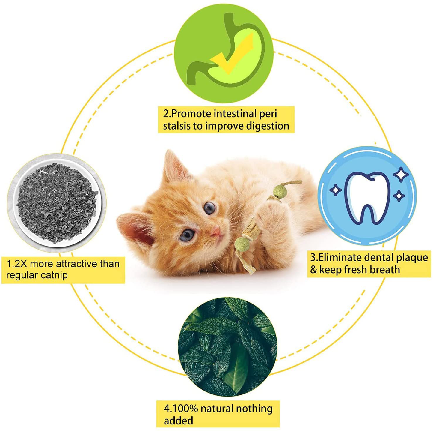 Catnip Toy Cat Toy Indoor，Cat Chewing Natural Silvervine Sticks for Cats，Make the Cat Happy Cat Kick Interactive,Teeth Cleaning Edible Natural to Promote Cat'S Appetite，Natural Catnip Mouse Cat Toy