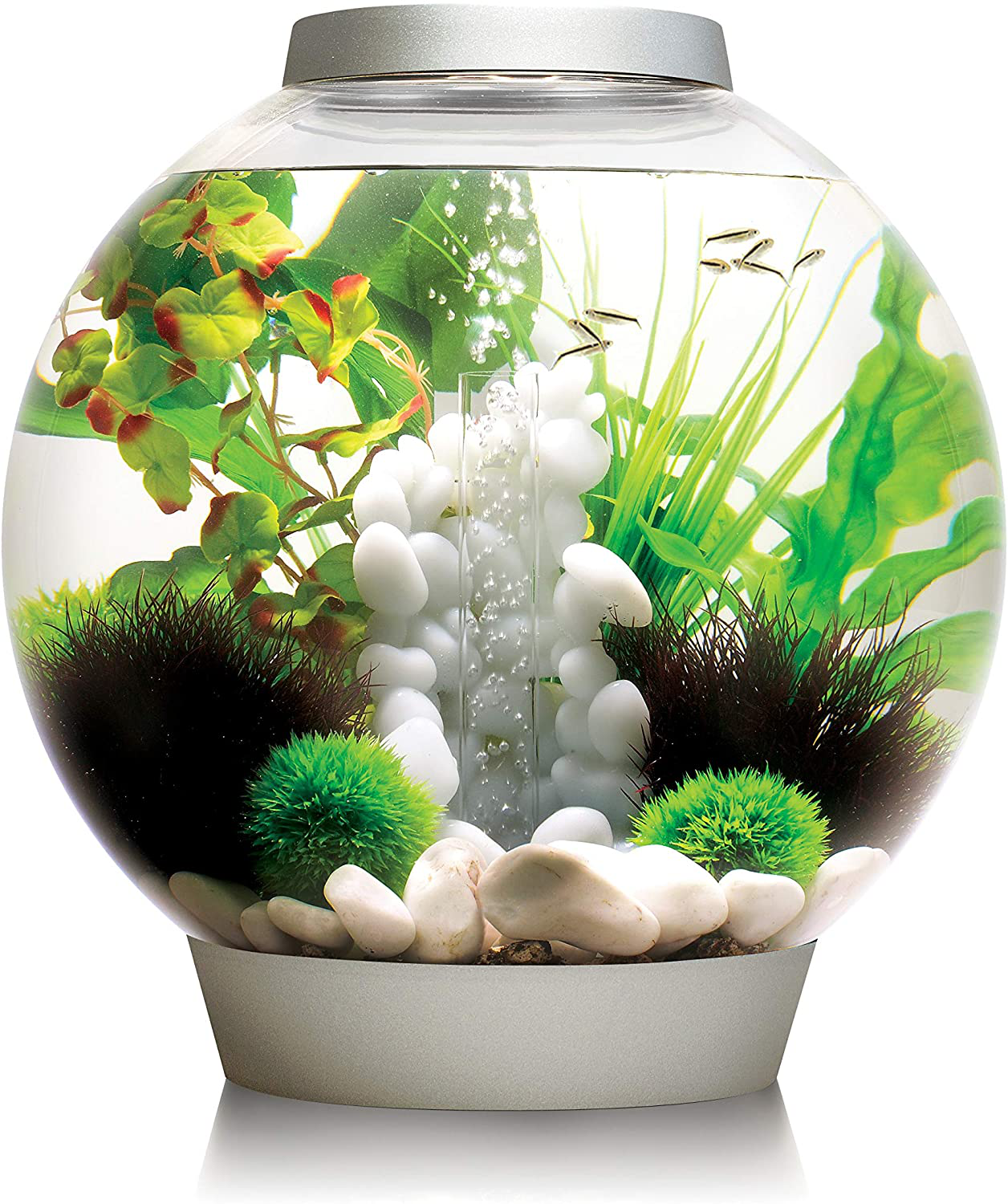 Biorb Classic Aquarium Animals & Pet Supplies > Pet Supplies > Fish Supplies > Aquarium Decor biOrb Silver 8 Gallon 