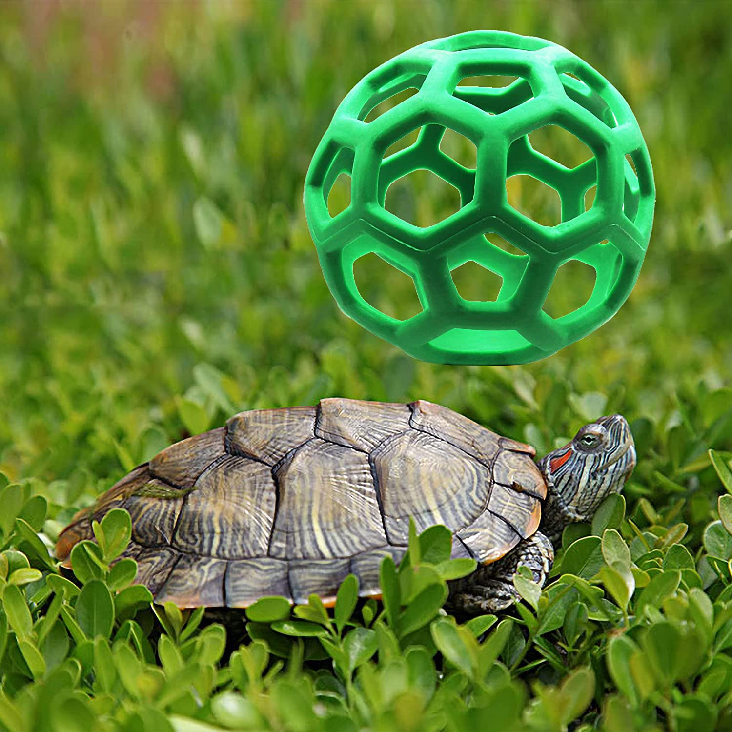 Tortoise Treat Ball Toy Hay Feeder Ball Hanging Feeding Grass Ball Fruit Vegetable Feeder Holder Foraging Toy for Small Animals Pet Tortoise Turtle Animals & Pet Supplies > Pet Supplies > Small Animal Supplies > Small Animal Habitat Accessories Tirifer   