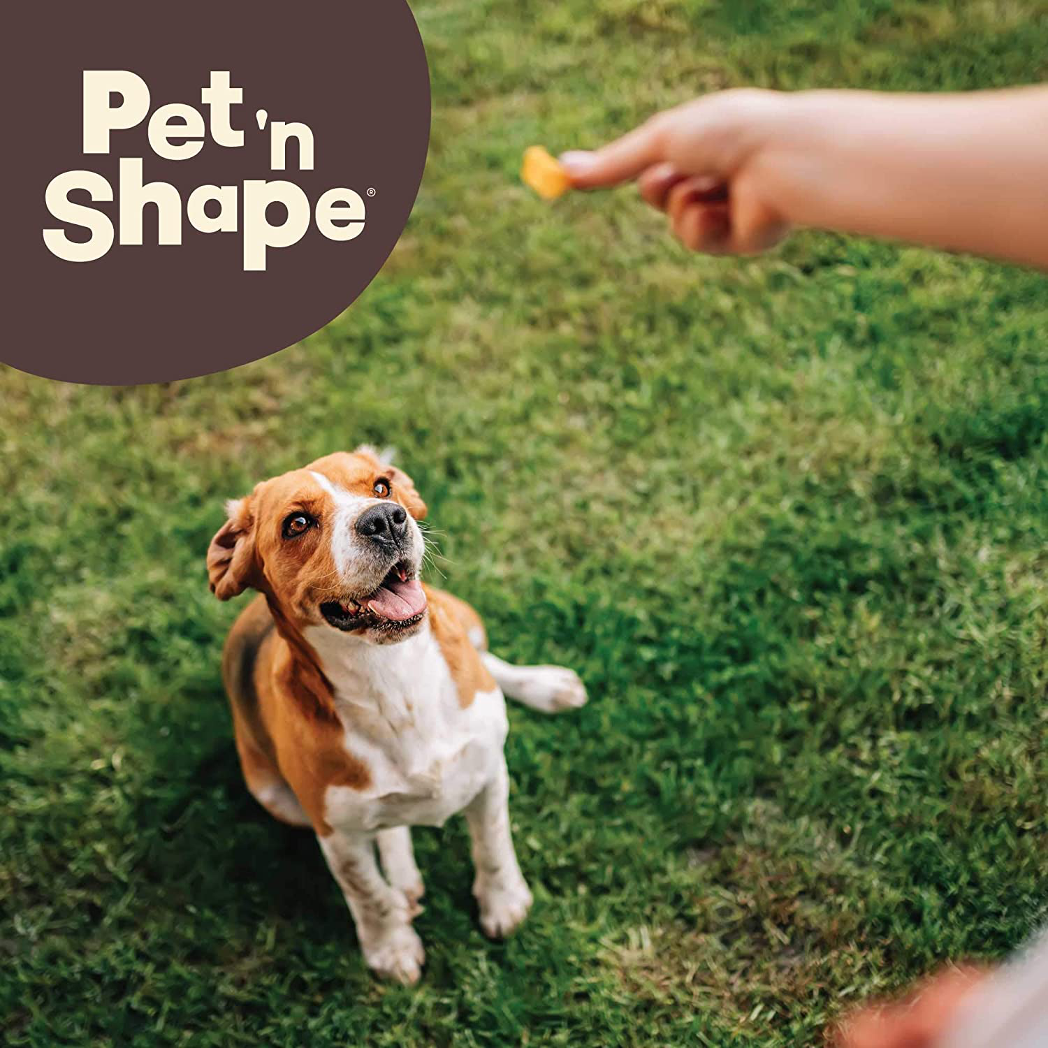 New Pet 'N Shape Chik 'N Sweet Potato – Made and Sourced in the Usa-All Natural Healthy Dog Treat Animals & Pet Supplies > Pet Supplies > Dog Supplies > Dog Treats Pet 'n Shape   
