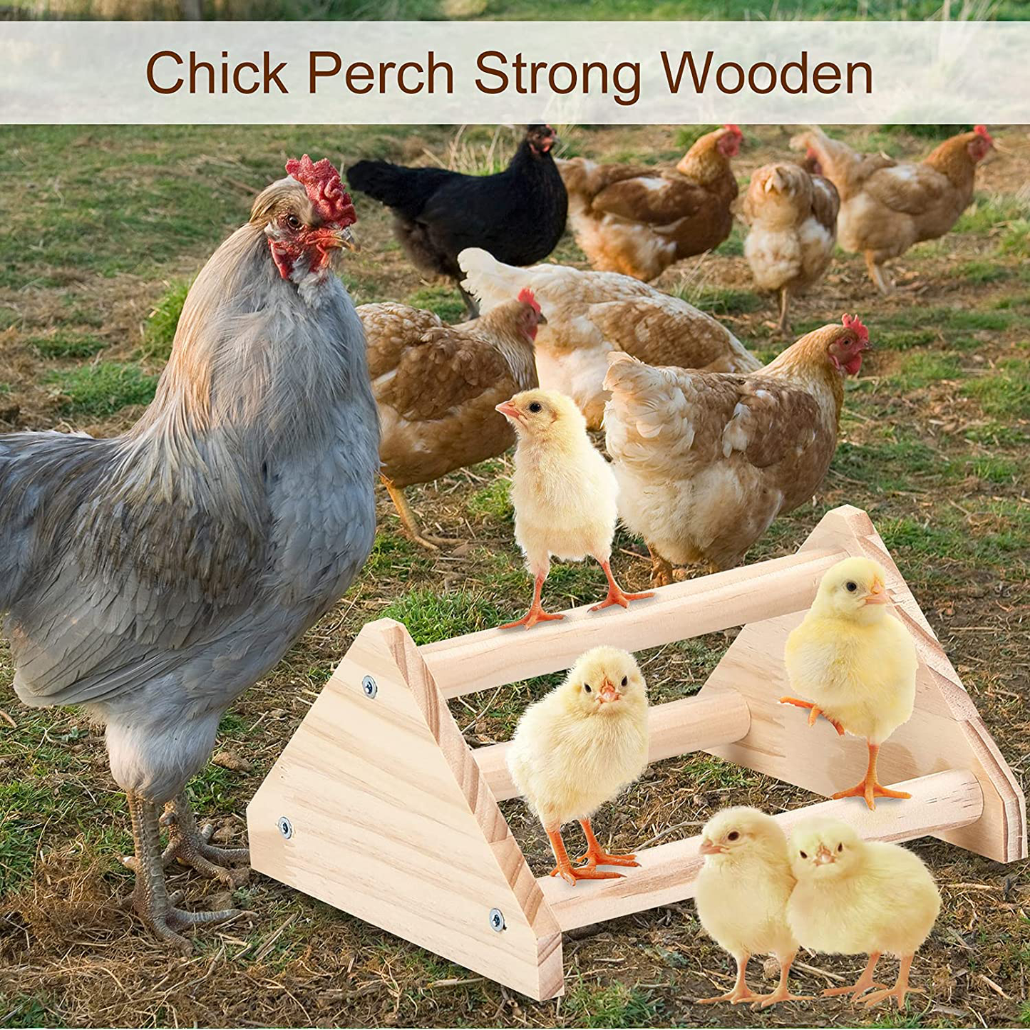 GINTUTO Chicken Perch Strong Pine Wooden Chick Jungle Gym Roosting Bar, Chick Perch Toys for Coop and Brooder for Large Bird Baby Chicks Parrot (Small) Animals & Pet Supplies > Pet Supplies > Bird Supplies > Bird Gyms & Playstands GINTUTO   