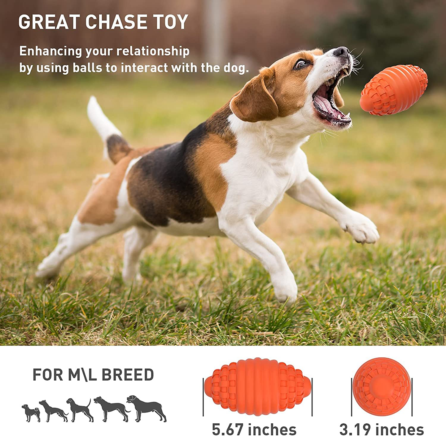 JUGLY Dog Squeaky Toys for Most Chewers, Floatable Dog Toys for Medium and Large Breed, Interactive Dog Toy Balls Durable with 100% Natural Rubber, Puppy Teething Dog Chew Toys. Animals & Pet Supplies > Pet Supplies > Dog Supplies > Dog Toys JUGLY   