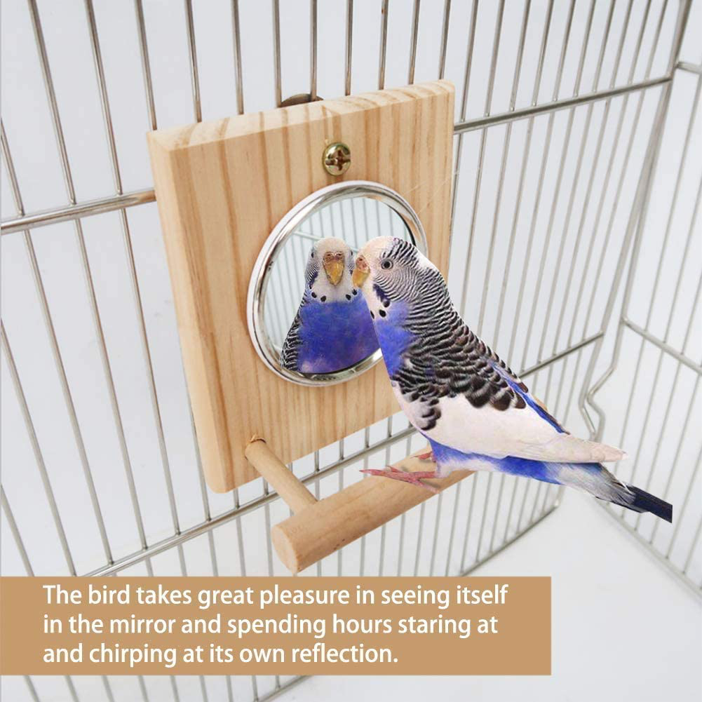 Hamiledyi Bird Mirror with Wooden Perch,Birdcage Fun Platform Stand Toys Animals & Pet Supplies > Pet Supplies > Bird Supplies > Bird Ladders & Perches Hamiledyi   