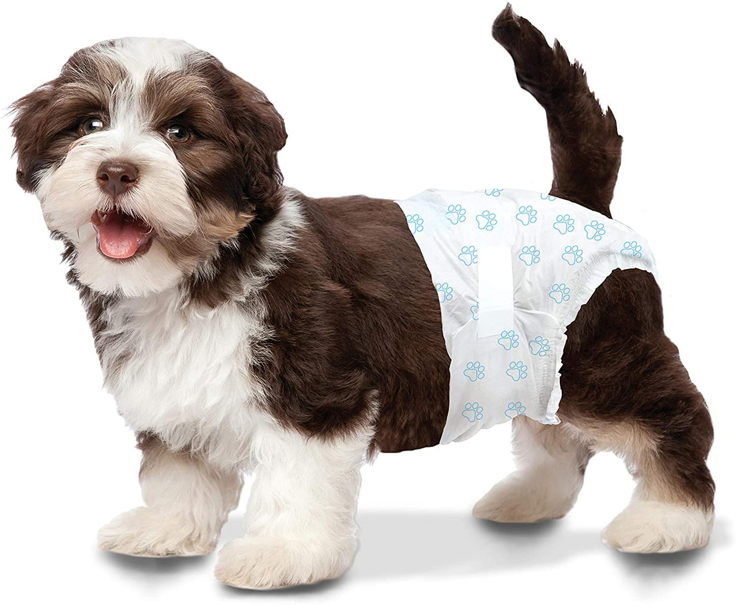 Wee-Wee Disposable Dog Diapers, X-Small (36 Count), White Animals & Pet Supplies > Pet Supplies > Dog Supplies > Dog Diaper Pads & Liners Four Paws   