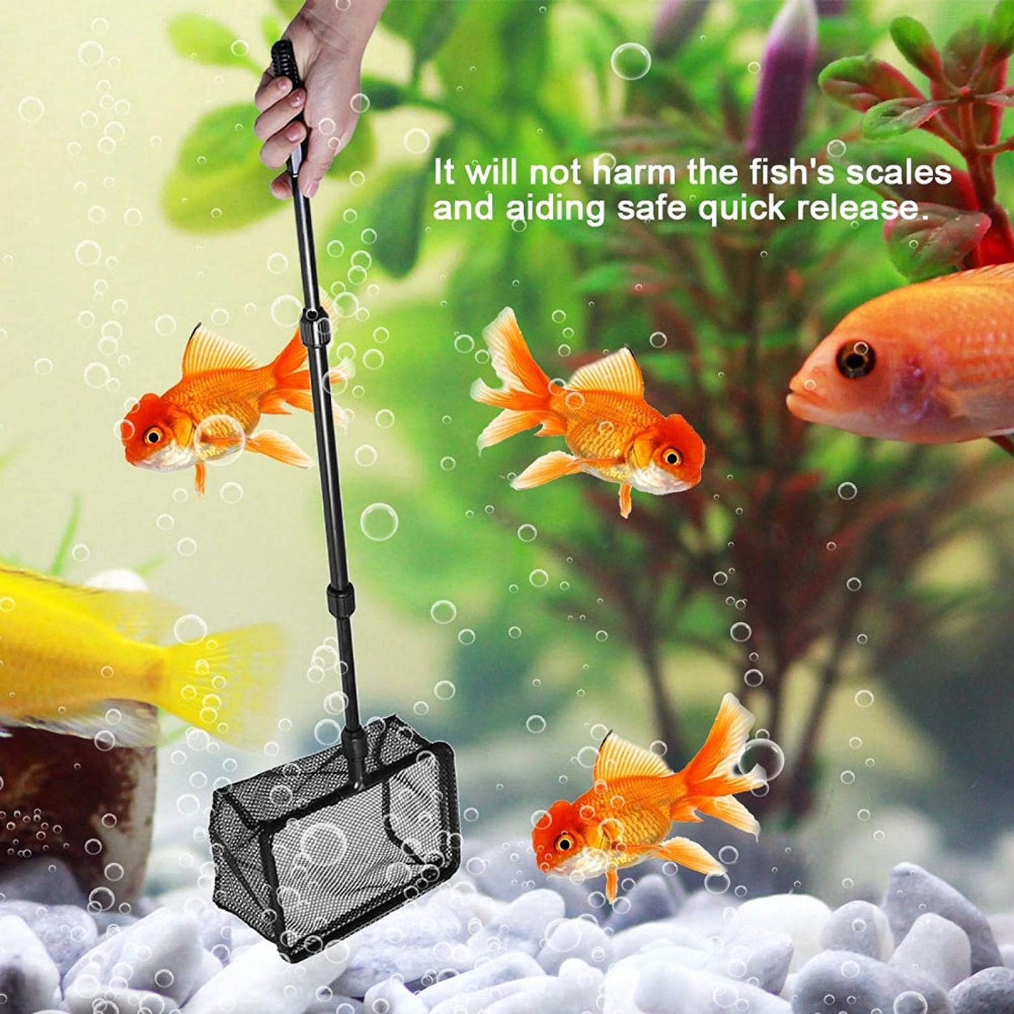 EVTSCAN 3 Size Aquarium Retractable Fishing Landing Net Floating Objects Clean Tools Animals & Pet Supplies > Pet Supplies > Fish Supplies > Aquarium Fish Nets EVTSCAN   