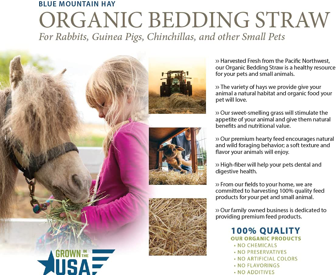 Blue Mountain Hay Organic Bedding Straw for Guinea Pigs, Chinchillas, Rabbits, Hamsters, Chickens, Stray and Feral Cats, Chicken Coops and Small Pet Shelters. Delivered Fresh from the Farm