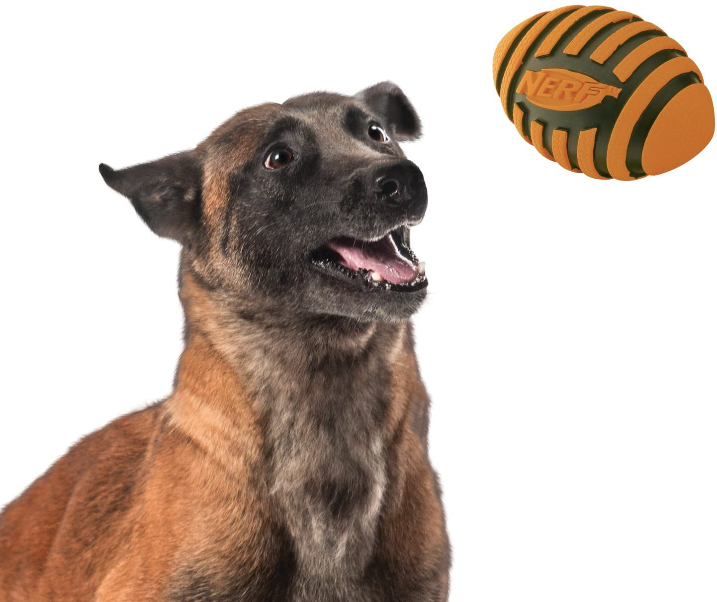 Nerf Dog Spiral Squeak Football