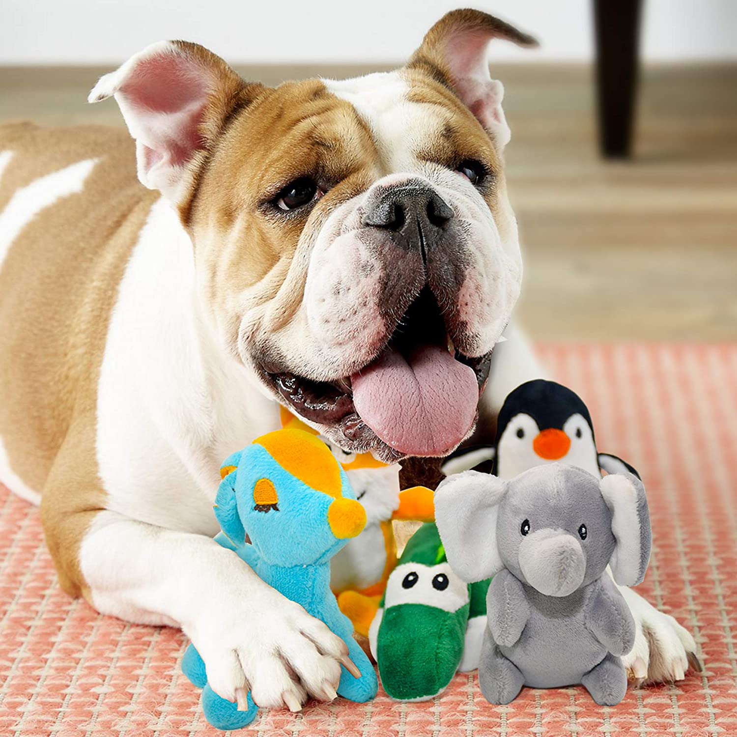 Cute Plush Toys Dog Squeaky Toys Funny Chew Toy For Small Medium