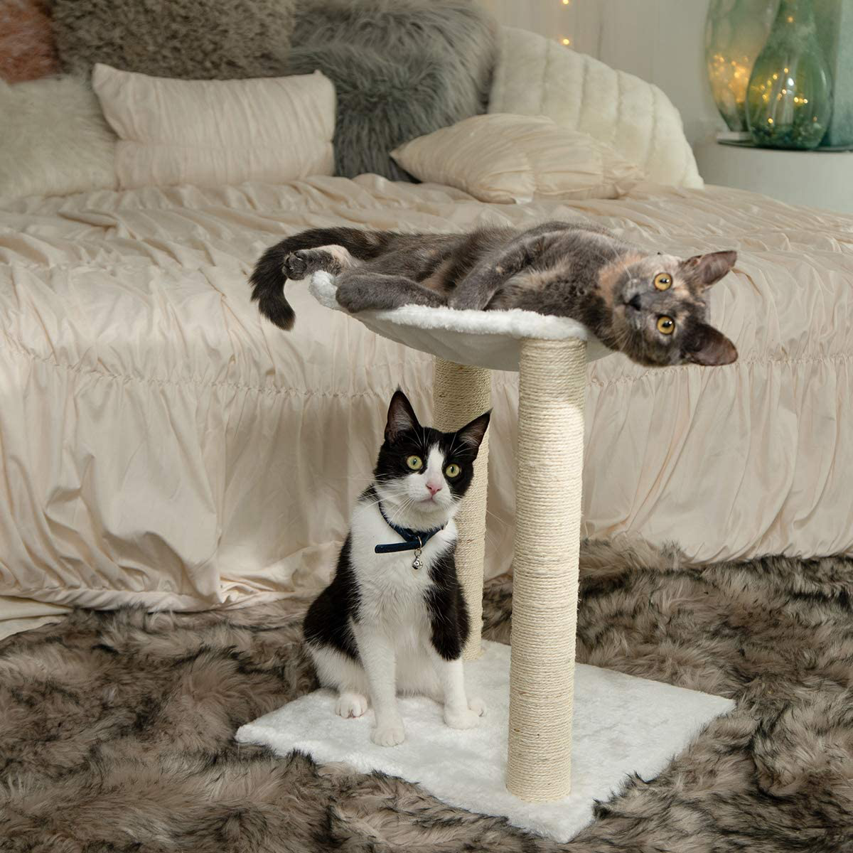 Paws and sales pals cat scratcher
