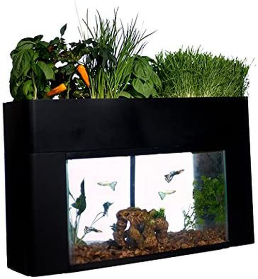 Aquasprouts Garden, Self-Sustaining Desktop Aquarium Aquaponics Ecosystem Kit, Fits Standard 10 Gallon Aquariums