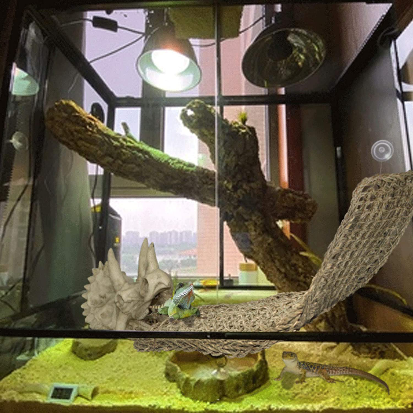 PINVNBY Reptiles Bearded Dragon Tank Accessories Resin Dinosaur Triceratops Skull Hide Amphibians Habitat Hammock Hideouts Cave Aquarium Decorations for Lizard Chameleon Snake Frog Spider Gecko Animals & Pet Supplies > Pet Supplies > Reptile & Amphibian Supplies > Reptile & Amphibian Habitat Accessories PINVNBY   