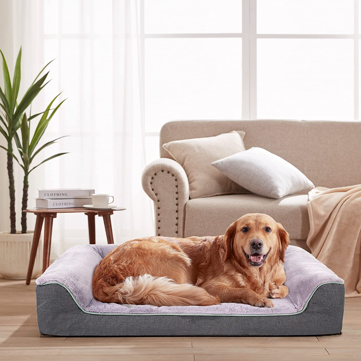 WATANIYA PET Orthopedic Dog Bed - Waterproof Dog Foam Sofa with Removable Washable Cover, Thick Bolster Rim - Couch Dog Bed for Small Medium Large Dogs