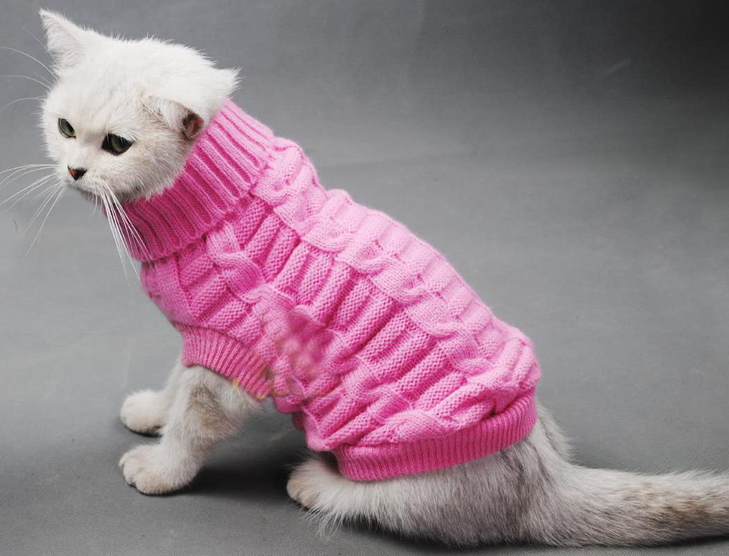 Evursua Pet Cat Sweater Kitten Clothes for Cats Small Dogs,Turtleneck Cat Clothes Pullover Soft Warm,Fit Kitty,Chihuahua,Teddy,Poodle,Pug Animals & Pet Supplies > Pet Supplies > Cat Supplies > Cat Apparel Evursua   