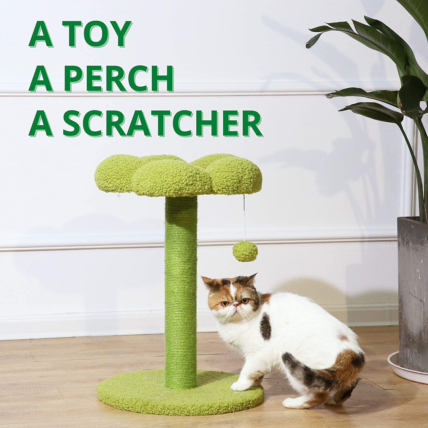Petnpurr Cat Flower Scratching Post, Perch and Activity Tree with Teaser Ball Toy – Designed to Protect Your Home Furniture with Natural Sisal Scratcher