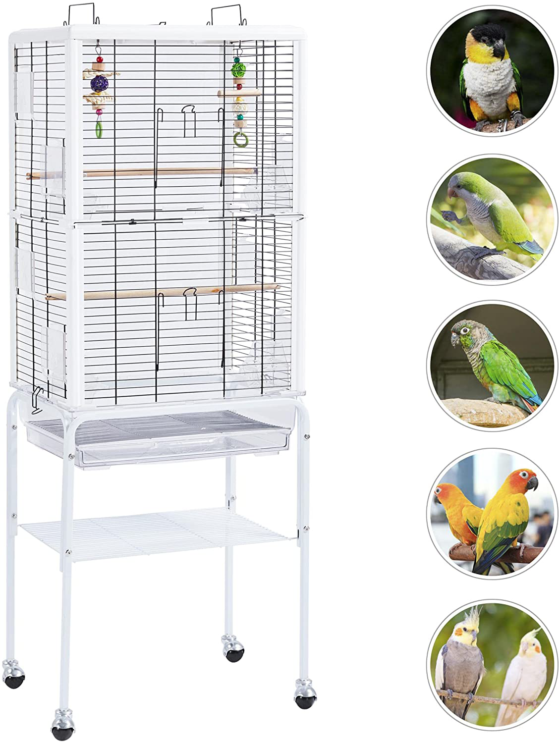 Topeakmart Rolling Open Top Transparent Parakeet Bird Cage for Small Birds Canaries Cockatiels Conures W/Toys Animals & Pet Supplies > Pet Supplies > Bird Supplies > Bird Cages & Stands Topeakmart   