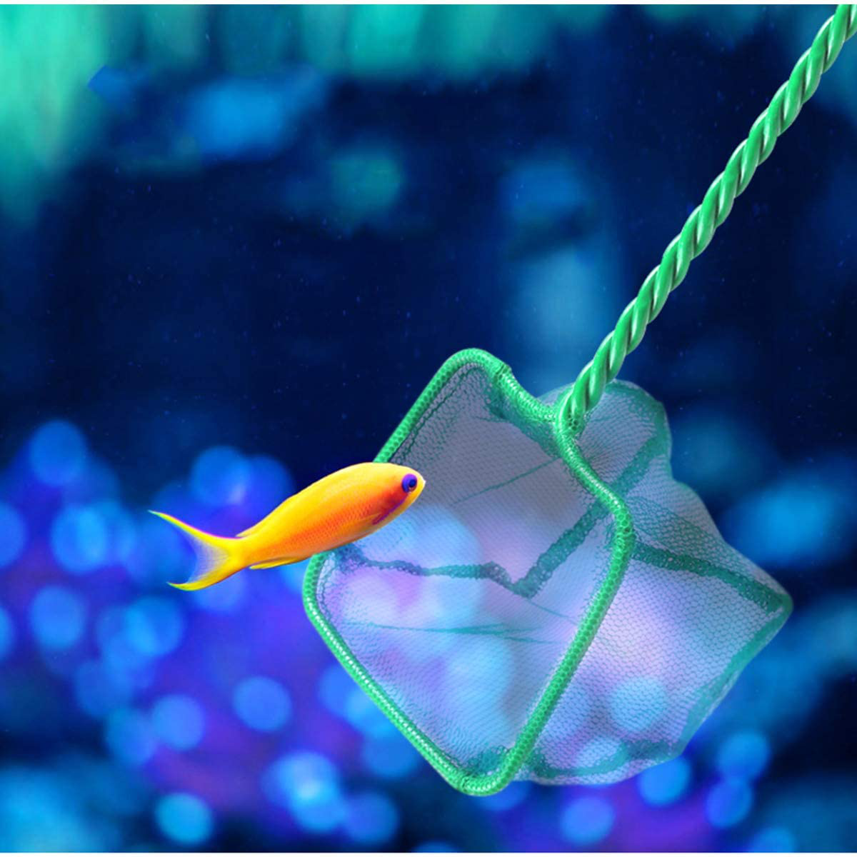 POPETPOP Portable Fishing Net Shrimp Dip Net with Handle for