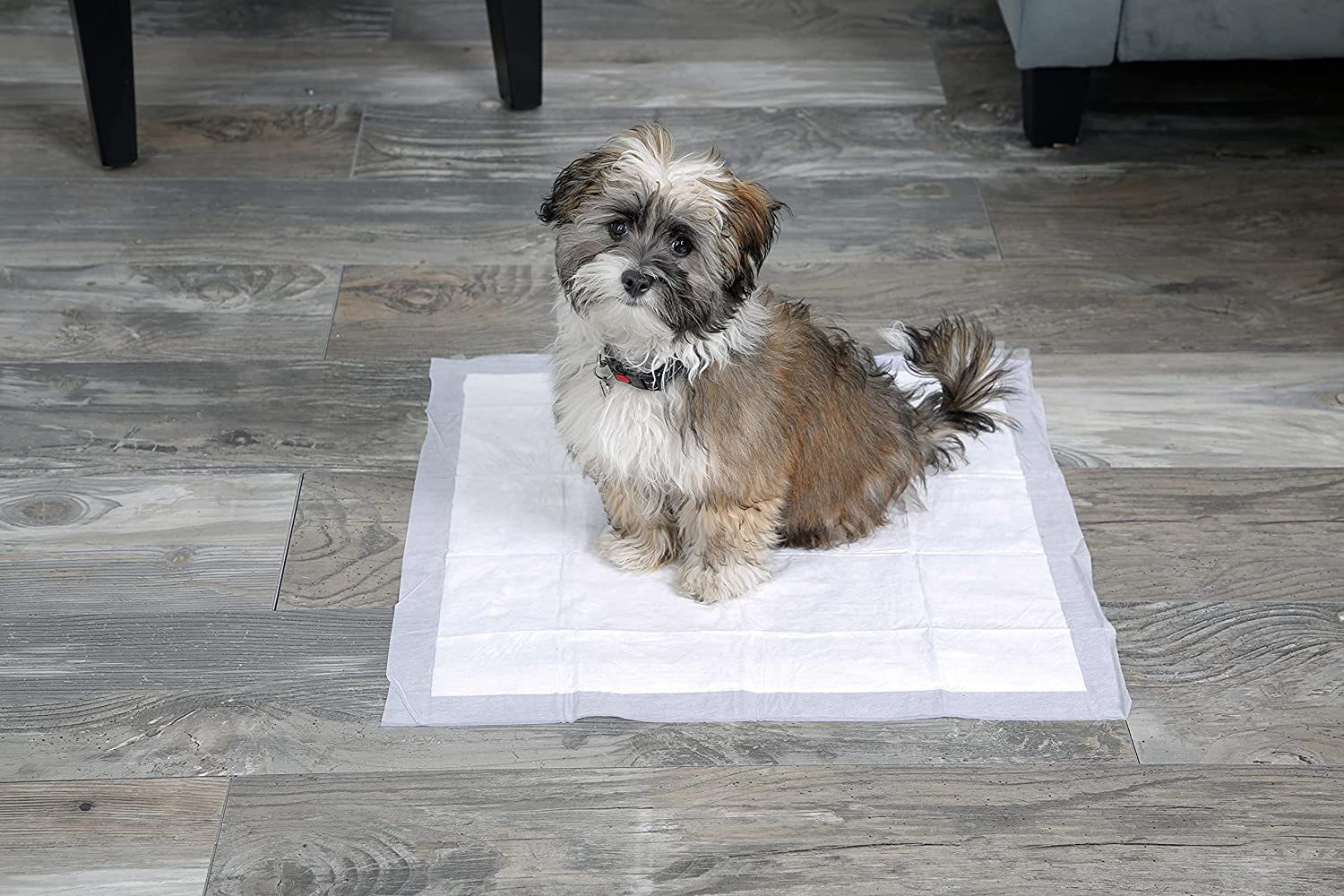 Hartz Home Protection Odor Eliminating Dog Pads, Varies Sizes Animals & Pet Supplies > Pet Supplies > Dog Supplies > Dog Diaper Pads & Liners Hartz   