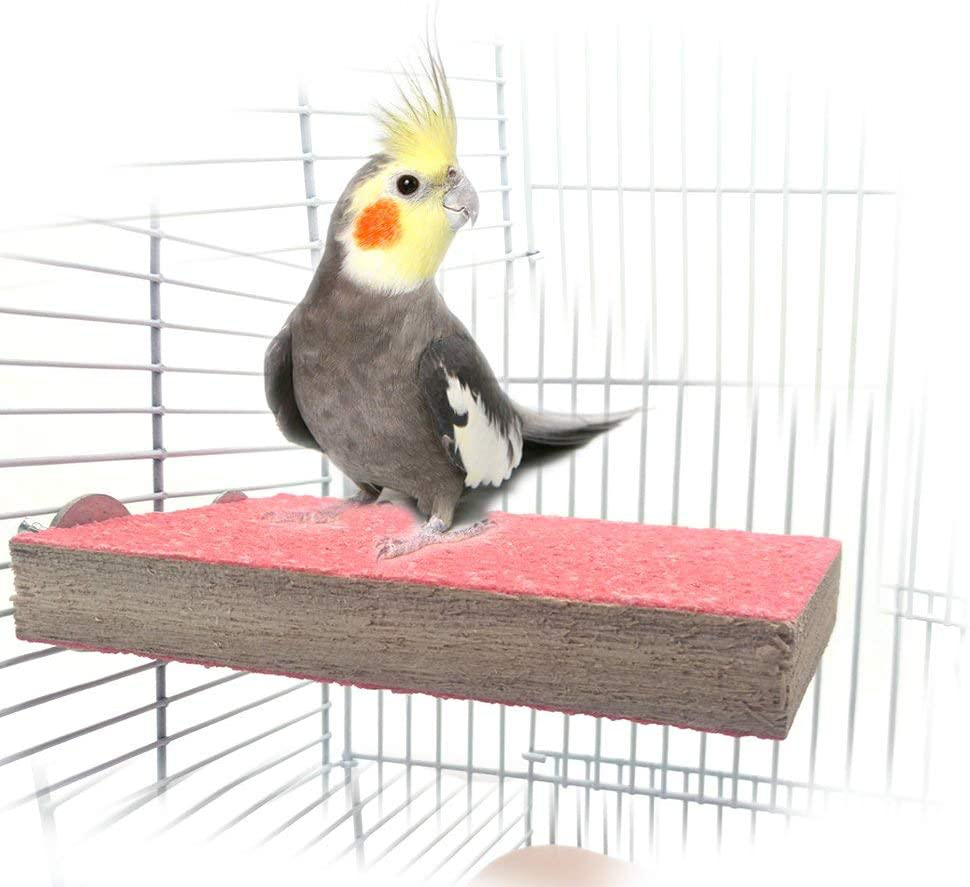 Colorful Bird Perch Stand Platform Natural Wood Playground Paw Grinding Clean for Pet Parrot Budgies Parakeet Cockatiels Conure Lovebirds Animals & Pet Supplies > Pet Supplies > Bird Supplies > Bird Cages & Stands Mrli Pet Random  