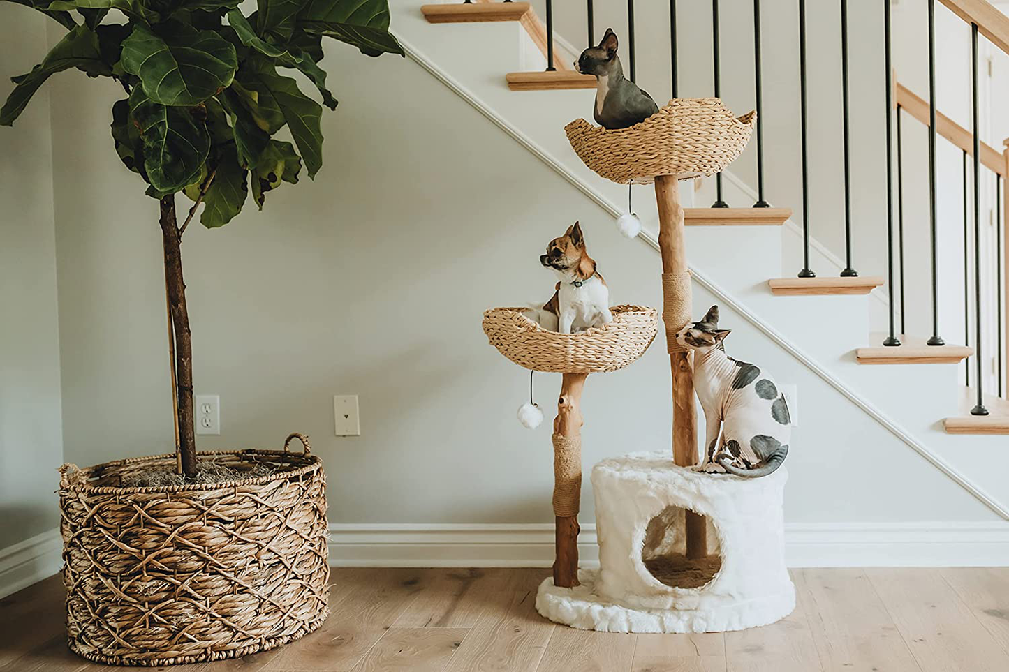 Modern Cat Tree Tower, Real Branch Luxury Cat Condo, Wood Cat Tower, Cat Scratching Tree, Cat Condo, Cat Lover Gift, Luxury Cat, Cat Gifts by Mau Lifestyle Animals & Pet Supplies > Pet Supplies > Cat Supplies > Cat Furniture Mau Lifestyle   