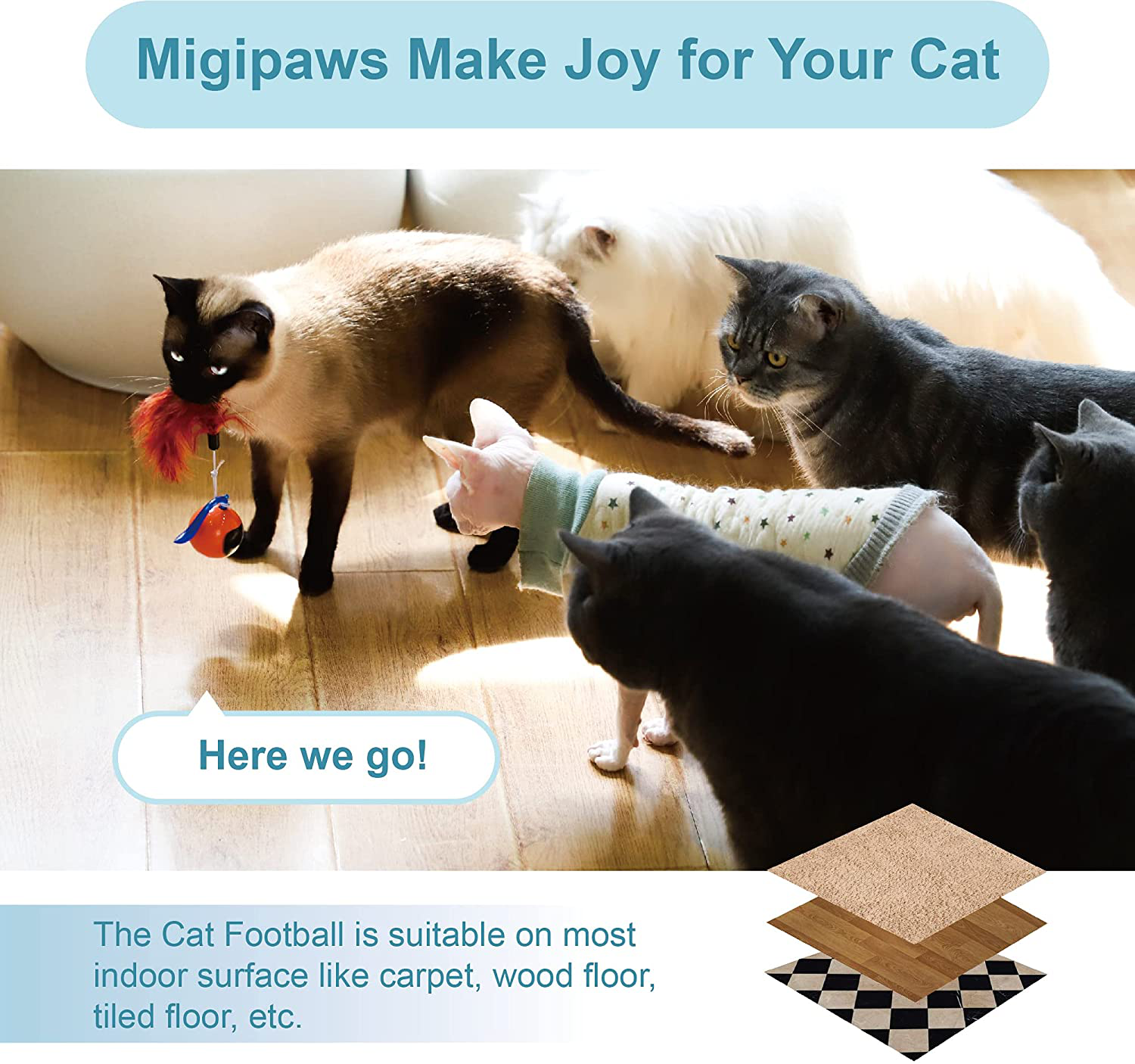 Migipaws Cat Toys, Automatic Moving Ball Bundle Classic Mice + Feather Kitten Toys in Pack. DIY N in 1 Pets Smart Electric Teaser, USB Rechargeable (White) Animals & Pet Supplies > Pet Supplies > Cat Supplies > Cat Toys Migipaws   
