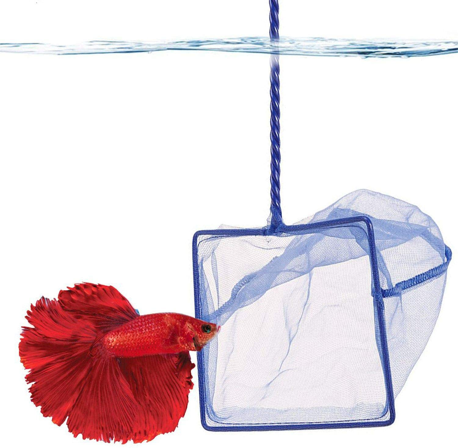 Sungrow Betta Net, 5X4 Inches with 11 Inches Handle, Extra Soft Nylon Net, Easy Routine Tank Maintenance, Random Color Animals & Pet Supplies > Pet Supplies > Fish Supplies > Aquarium Fish Nets SunGrow   