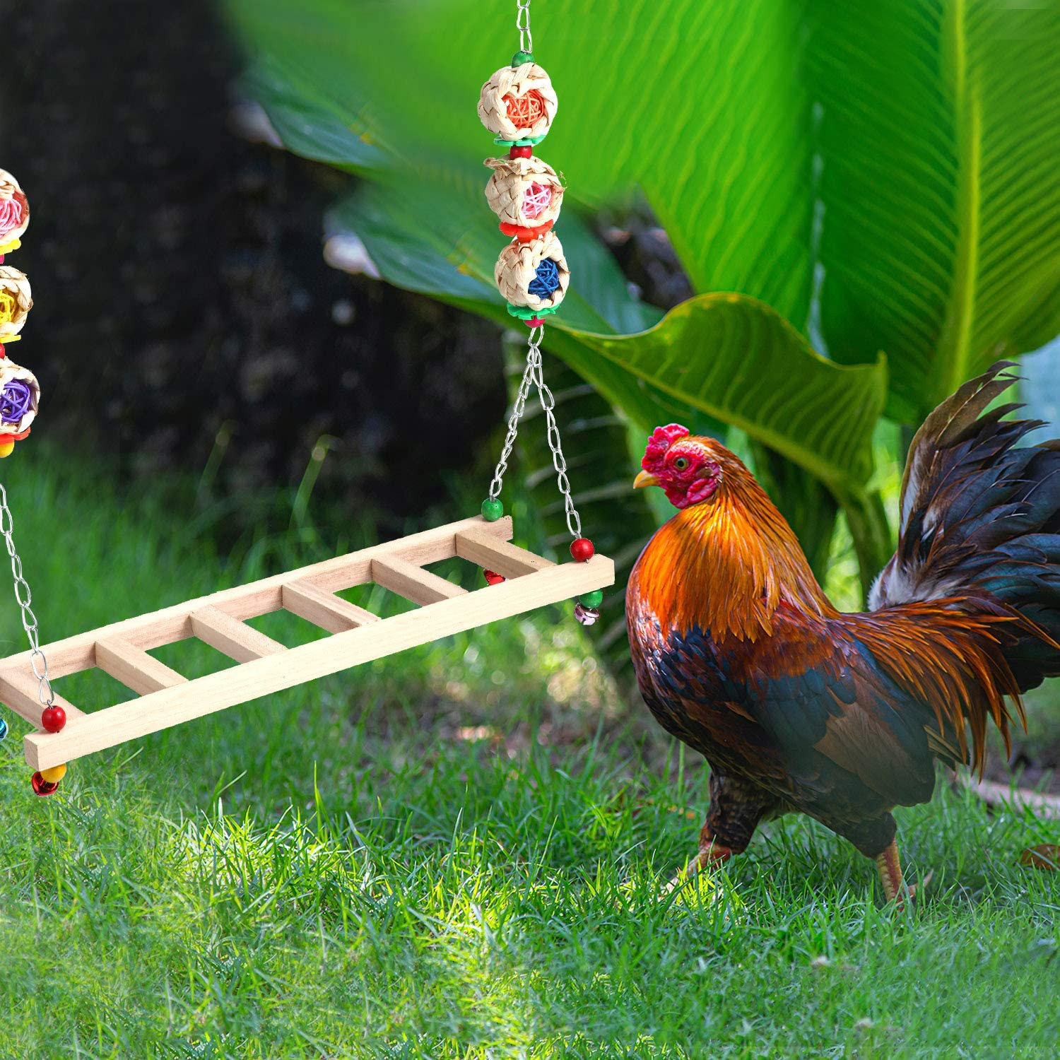 Frienda 2 Pieces Wood Chicken Swing Bird Ladder Perch Chicken Wood Stand Bird Perch Hanging Toy for Rooster Hens Parrot Large Bird Animals & Pet Supplies > Pet Supplies > Bird Supplies > Bird Ladders & Perches Frienda   