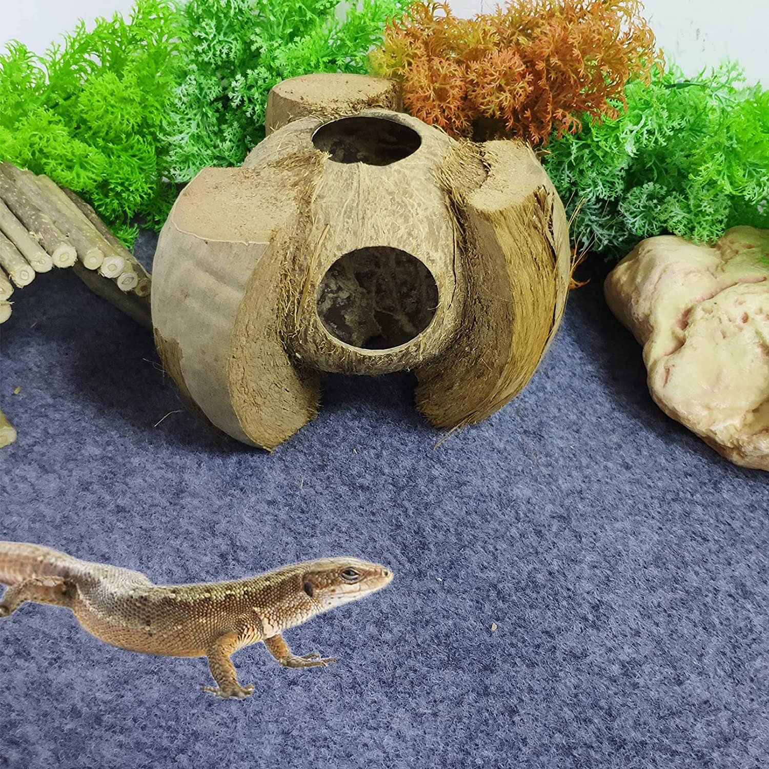 Hamiledyi Reptile Coconut Shell Hideout 5 Pack Lizard Coco Hut Durable Cave Habitat Jungle Climber Vines Flexible Plants Gecko Tank Accessories Decor for Chameleons Spiders Snakes Climbing Toys Animals & Pet Supplies > Pet Supplies > Reptile & Amphibian Supplies > Reptile & Amphibian Habitat Accessories Hamiledyi   