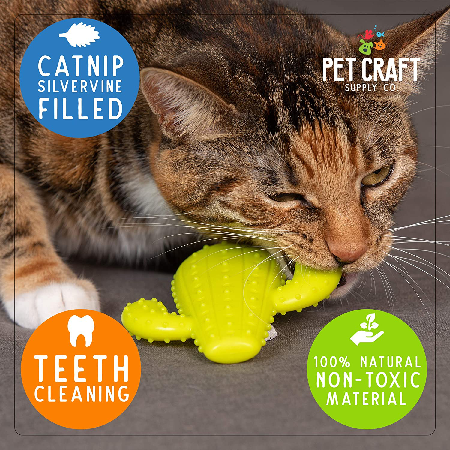 Pet Craft Supply Cactus Interactive Cat Toy Chew Toy Teeth Cleaning Bite Resistant 100% Natural Rubber with Bonus Catnip and Silvervine Bags for Kittens and Adult Cat