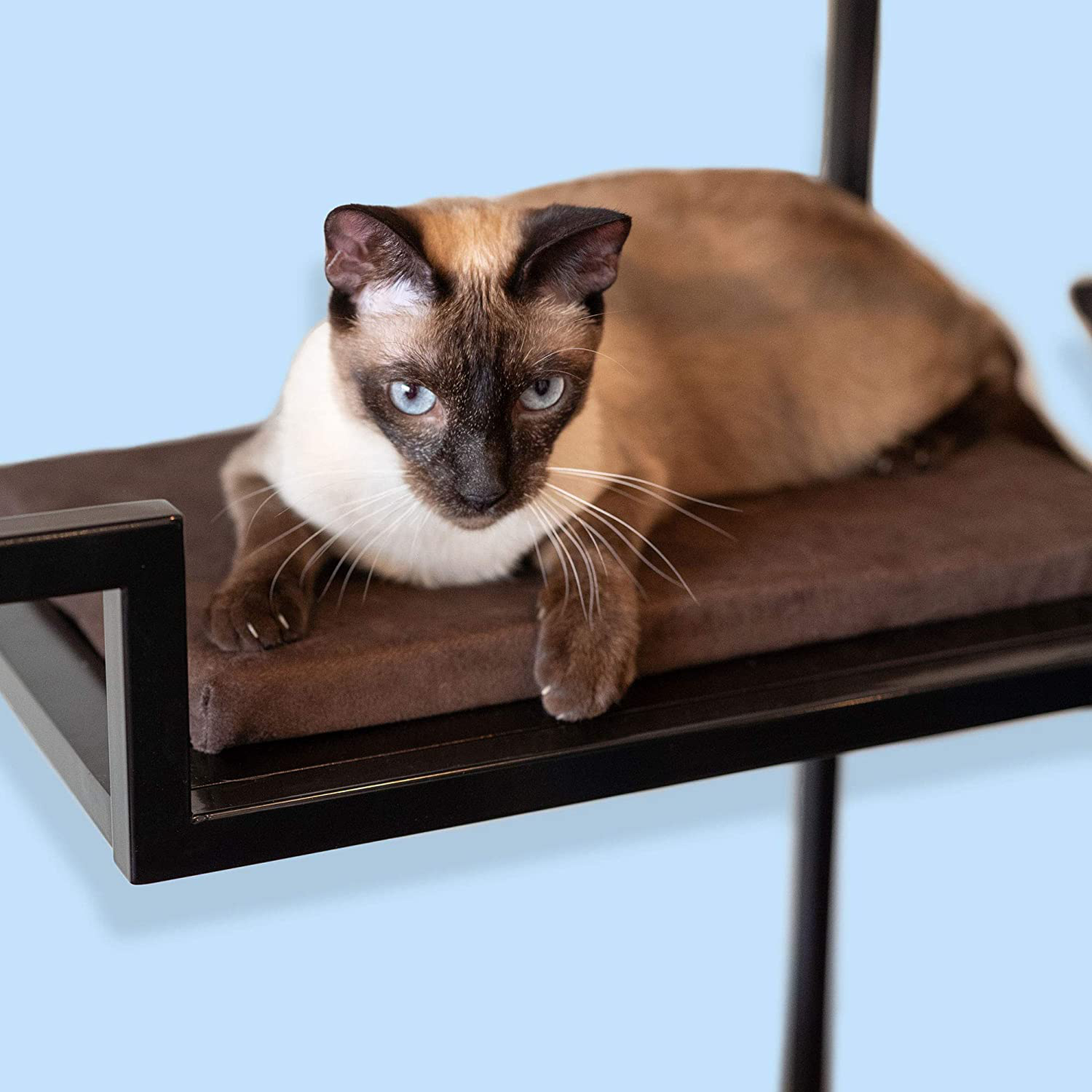 THE REFINED FELINE Metropolitan Cat Condo, Modern Furniture for Multiple Cats, Stepped Platforms for Cats and Kittens Animals & Pet Supplies > Pet Supplies > Cat Supplies > Cat Furniture THE REFINED FELINE   