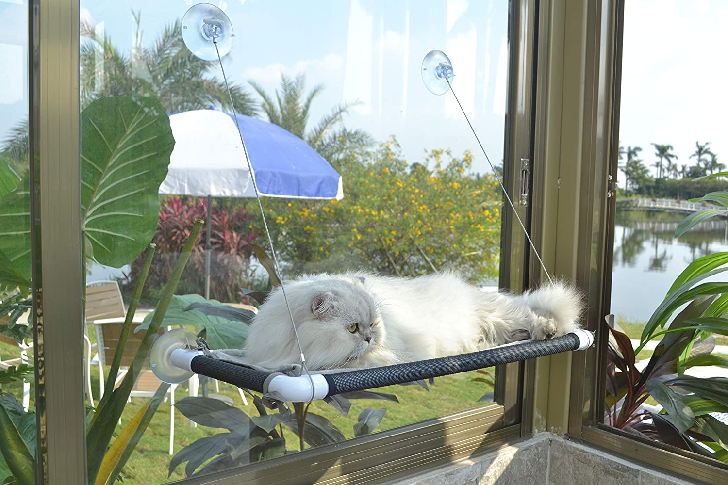 Cat Window Perch, Cat Hammock Window Seat, Space Saving Window Mounted Cat Bed for Large Cats Premium Set Animals & Pet Supplies > Pet Supplies > Cat Supplies > Cat Furniture PEFUNY Black  
