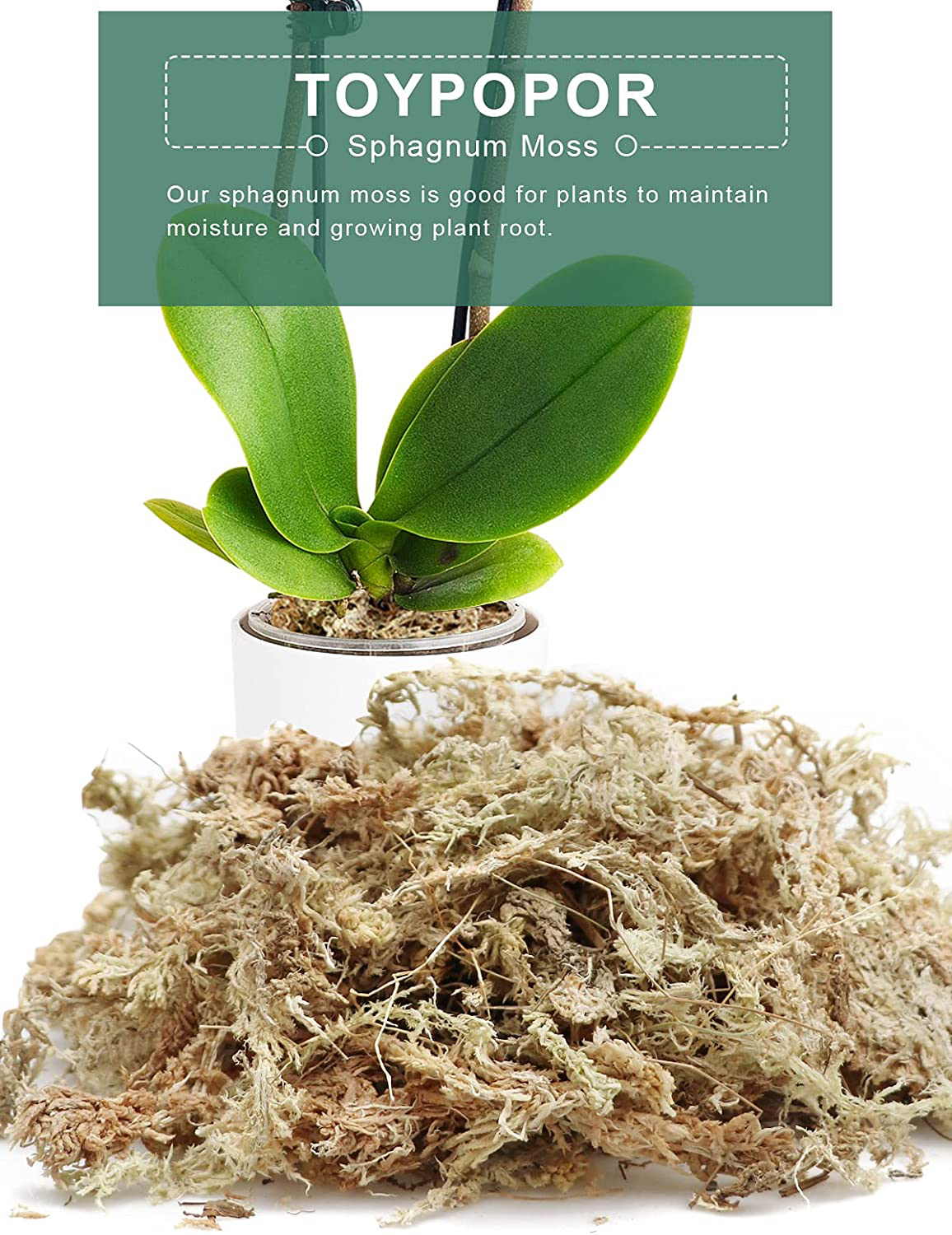 Orchid Sphagnum Moss, 2Qt Succulent Dried Moss, Garden Bonsai Pot Mix, Moisture-Holding Plant Growing Medium for Flowers Plant Pot and Reptiles Animals & Pet Supplies > Pet Supplies > Reptile & Amphibian Supplies > Reptile & Amphibian Substrates TOYPOPOR   