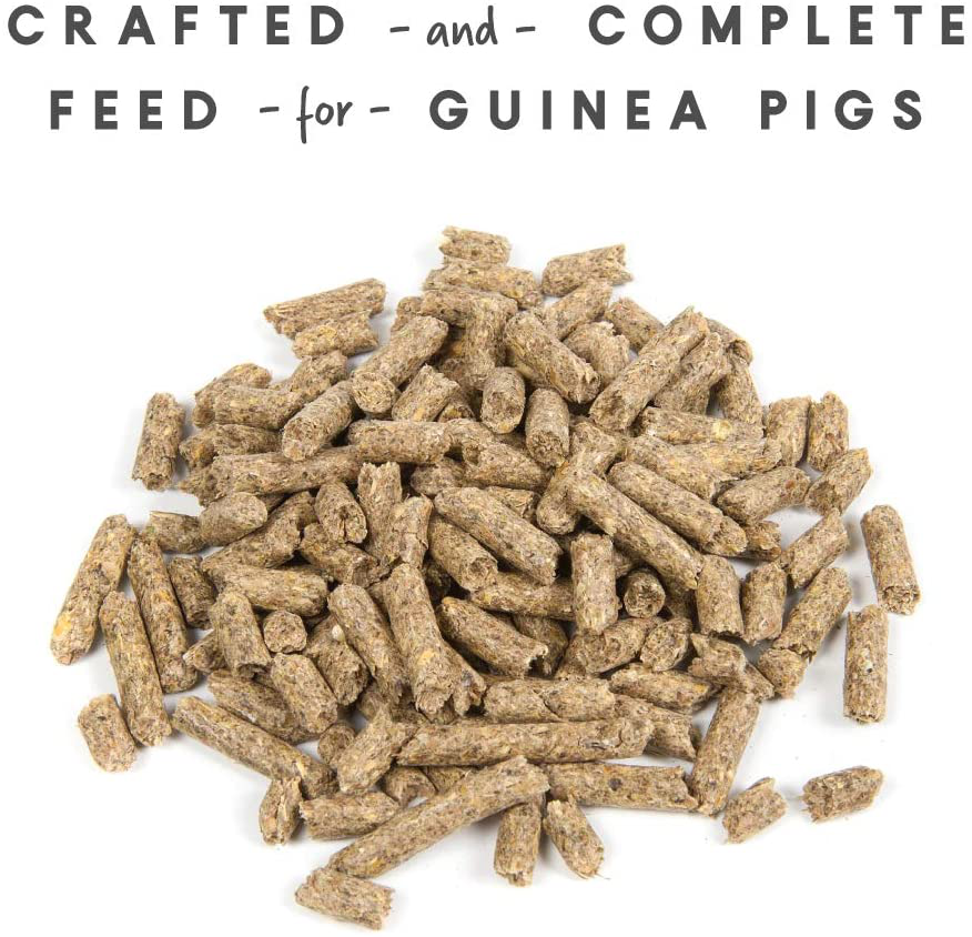 Manna Pro Guinea Pig Feed | with Vitamin C | Complete Feed for Guinea Pigs | No Artificial Colors or Flavors | 5 Lb Animals & Pet Supplies > Pet Supplies > Small Animal Supplies > Small Animal Food Manna Pro   