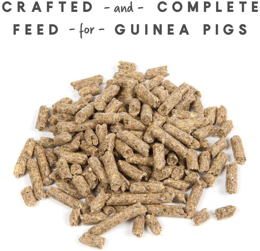 Manna Pro Guinea Pig Feed | with Vitamin C | Complete Feed for Guinea Pigs | No Artificial Colors or Flavors | 5 Lb