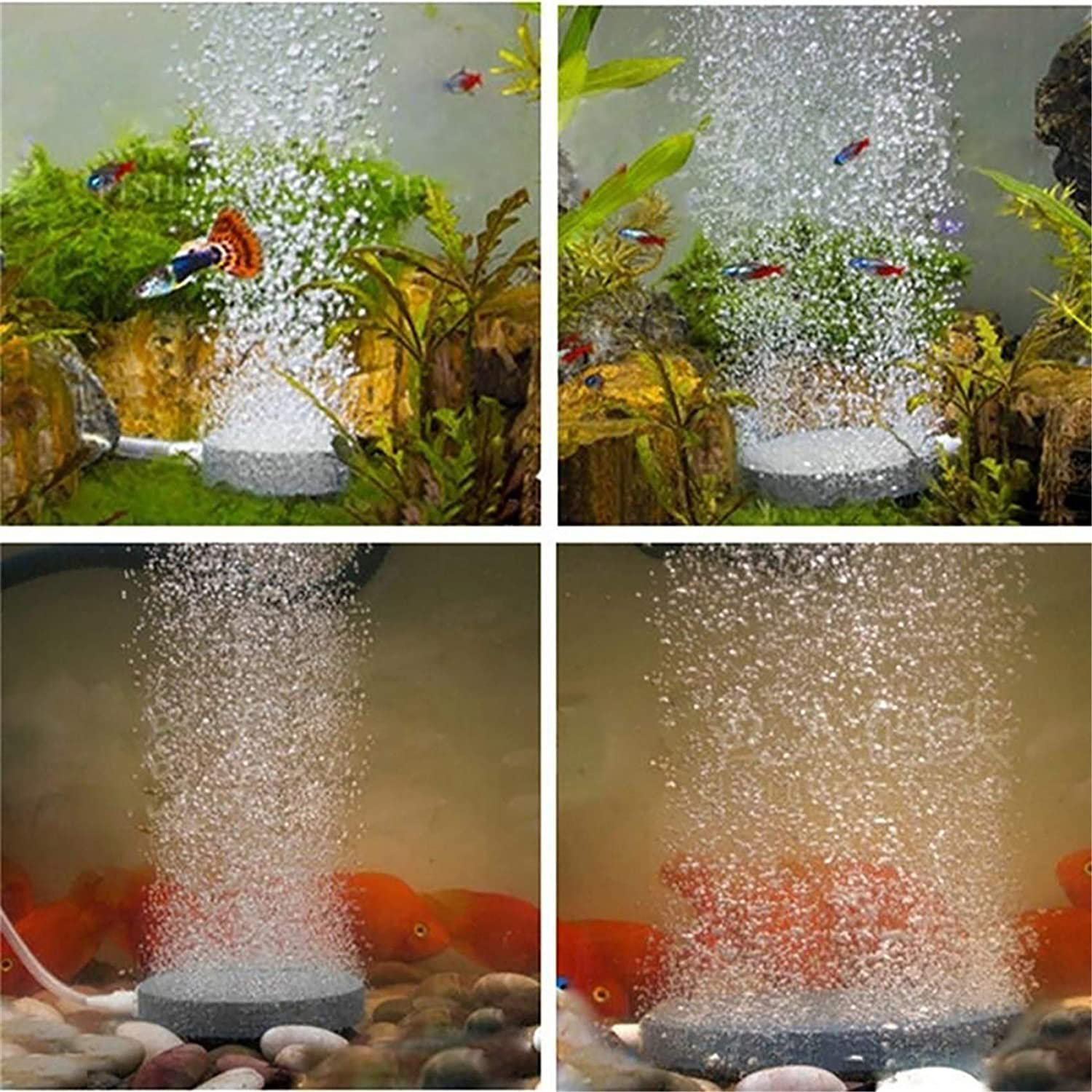 Meoliny Aquarium Air Stone Oxygen Diffuser Fish Tank Bubbler round Air Stone Disk Animals & Pet Supplies > Pet Supplies > Fish Supplies > Aquarium Air Stones & Diffusers Meoliny   