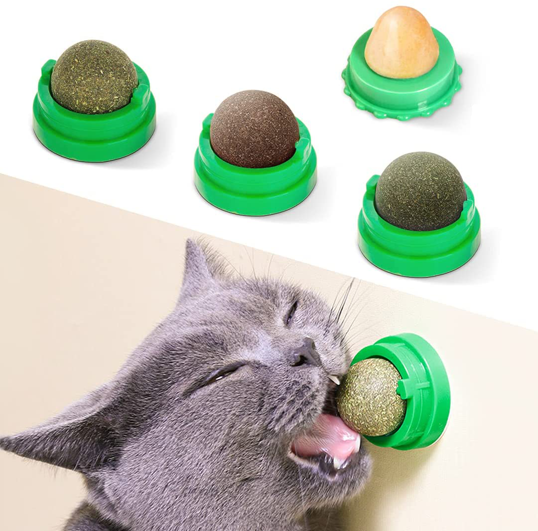 Potaroma 4 Pcs Catnip Wall Toys, Detachable Silvervine Balls, Edible Kitty Toys for Cats Lick, Safe Healthy Kitten Chew Toys, Teeth Cleaning Dental Cat Ball Toy, Cat Wall Treats Animals & Pet Supplies > Pet Supplies > Cat Supplies > Cat Toys Potaroma Stand-Alone  