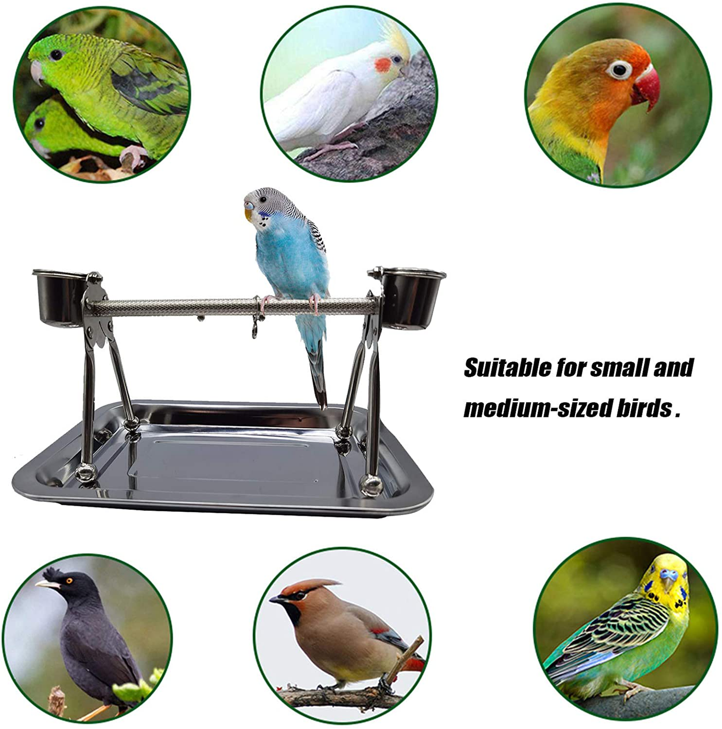 Tfwadmx Parrot Playstand,Stainless Steel Bird Playgound Play Gym Platform Table Top Perch with Feeding Cups Tray for Conure Parakeet Lovebird Cockatiel. Animals & Pet Supplies > Pet Supplies > Bird Supplies > Bird Gyms & Playstands Tfwadmx   