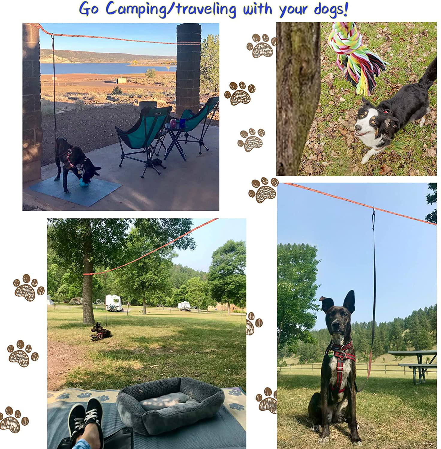 Dog tie out for camping hot sale