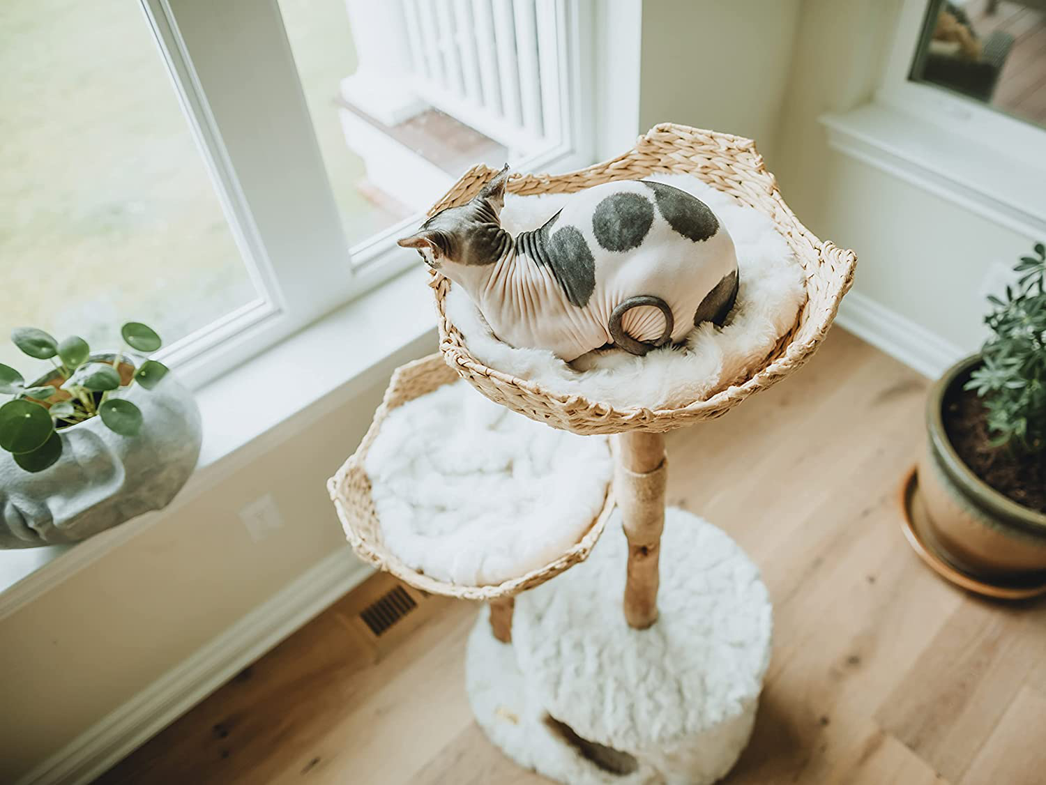 Modern Cat Tree Tower, Real Branch Luxury Cat Condo, Wood Cat Tower, Cat Scratching Tree, Cat Condo, Cat Lover Gift, Luxury Cat, Cat Gifts by Mau Lifestyle Animals & Pet Supplies > Pet Supplies > Cat Supplies > Cat Furniture Mau Lifestyle   