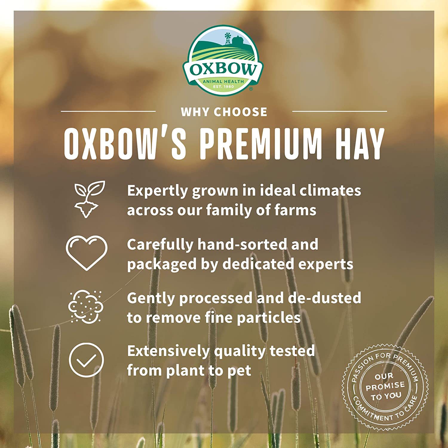 Oxbow Animal Health Orchard Grass Hay - All Natural Grass Hay for Chinchillas, Rabbits, Guinea Pigs, Hamsters & Gerbils Bulk Size Animals & Pet Supplies > Pet Supplies > Small Animal Supplies > Small Animal Food Oxbow Animal Health LLC   