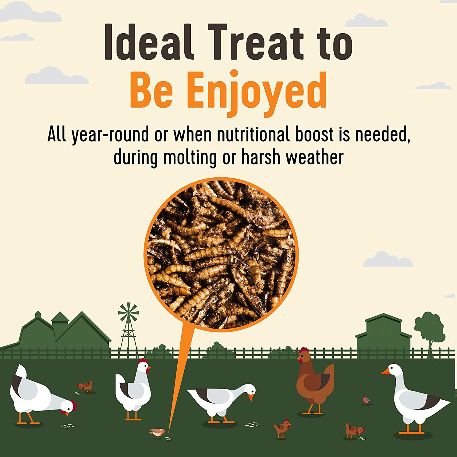 Supreme Grubs -Natural Black Soldier Fly Larvae for Chickens, 85X More Calcium than Mealworms-High Protein Grub Food Chicken Treats for Hens, Probiotic-Rich Chicken Feed and Calcium-Dense Bird Animals & Pet Supplies > Pet Supplies > Bird Supplies > Bird Treats Supreme Grubs   