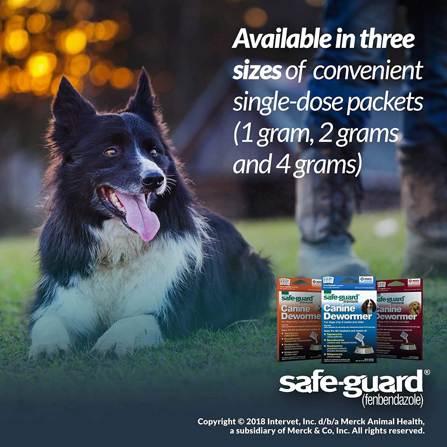 Safe-Guard (Fenbendazole) Canine Dewormer for Dogs, 4Gm Pouch (Ea. Pouch Treats 40Lbs.) Animals & Pet Supplies > Pet Supplies > Small Animal Supplies > Small Animal Treats SAFE-GUARD   