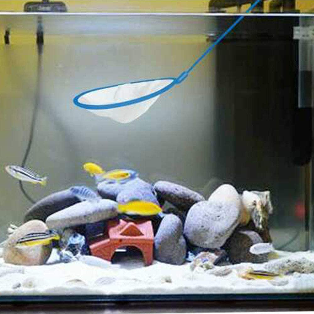 E-Outstanding Baby Brine Shrimp Net 3PCS Plastic Artemia Sieves Super Dense Filter Mesh Aquarium Fish Tank Tool for Artemia Eggs New Born Fish Animals & Pet Supplies > Pet Supplies > Fish Supplies > Aquarium Fish Nets E-outstanding   