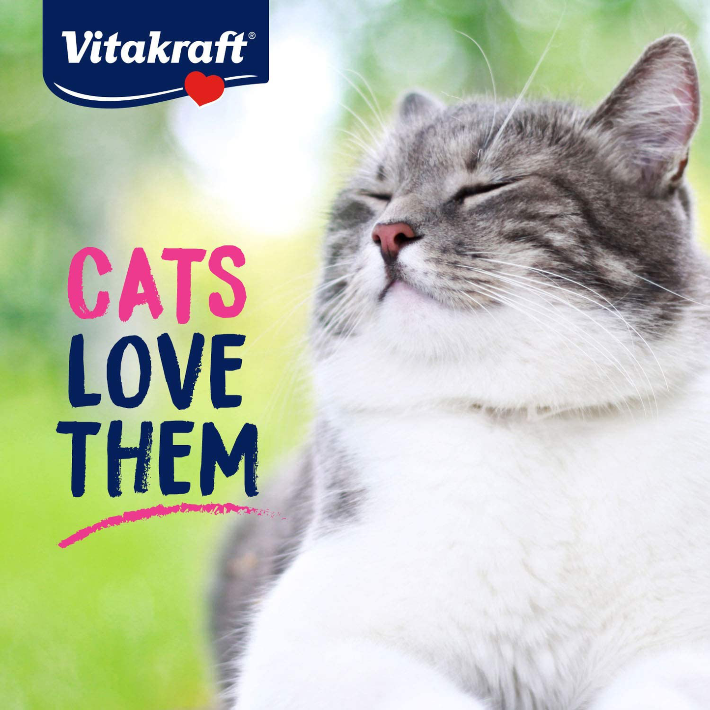 Vitakraft Souprise Snack Broth Treats for Cats, Food Topper or between Meal Snack, Adds Liquid to Your Cat'S Diet
