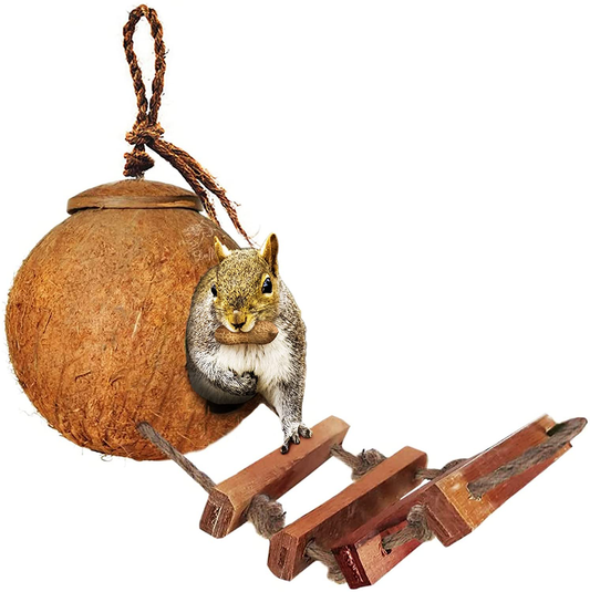 Sungrow Sugar Glider Squirrel Hut with Ladder, 5” Diameter, 2.5” Opening, Raw Coconut Husk Hide Animals & Pet Supplies > Pet Supplies > Bird Supplies > Bird Cage Accessories Luffy Pets Collection   